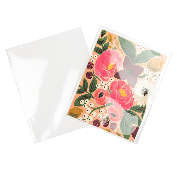 Umweltfreundliche Beutel 11.5x15cm Transparent (100 Stück) [GC54NF]