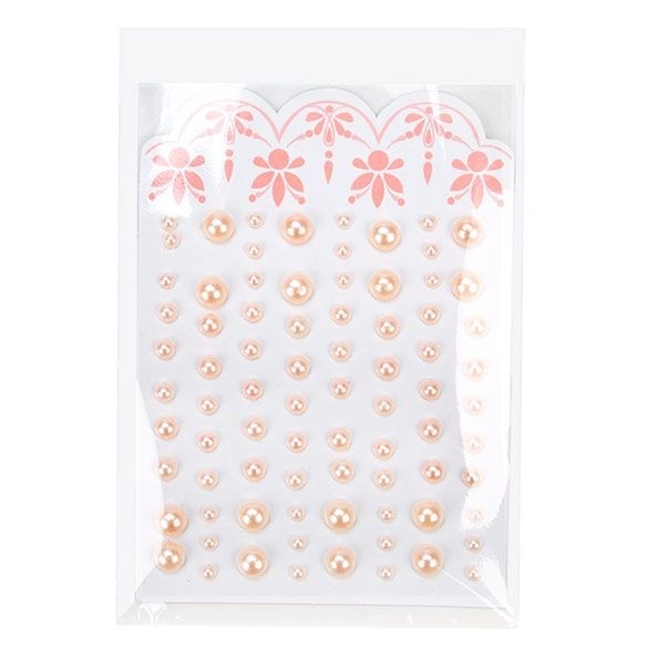 Umweltfreundliche Beutel Bioplastik 10.2x15.3cm Transparent (100 Stück) [GC46ENF]