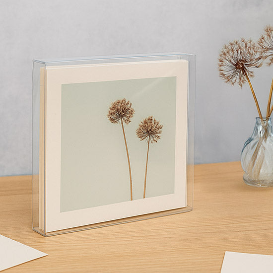 Klarsichtschachteln 20.6x1.6x20.6cm Transparent (25 Stück) [FPB133]
