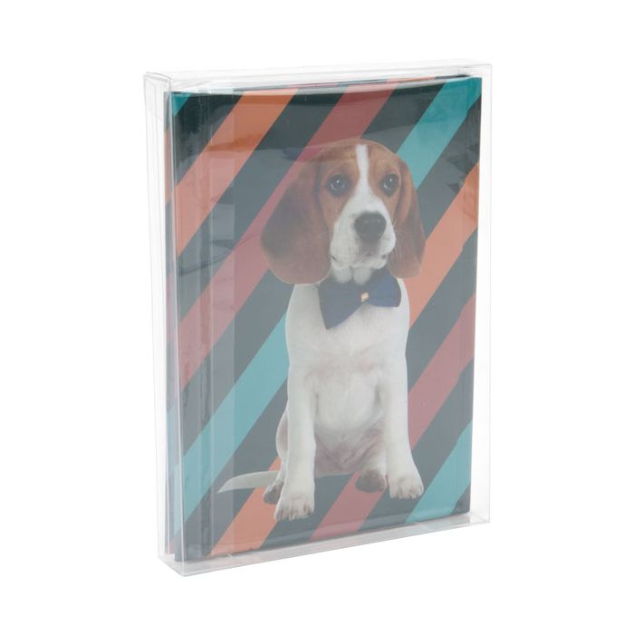 Klarsichtschachteln 13x2.5x18.1cm Transparent (25 Stück) [FPB168]