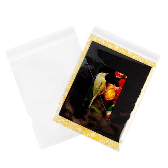 Umweltfreundliche Beutel 22.7x28.6cm Transparent - Premium (100 Stück) [GC811]