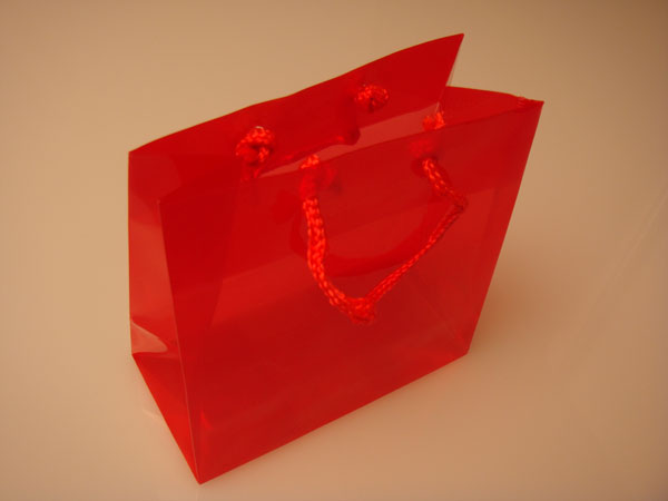 Geschenktaschen 16x7.6x16cm mit Trageschnüren (10 Stück) [G66RD1]
