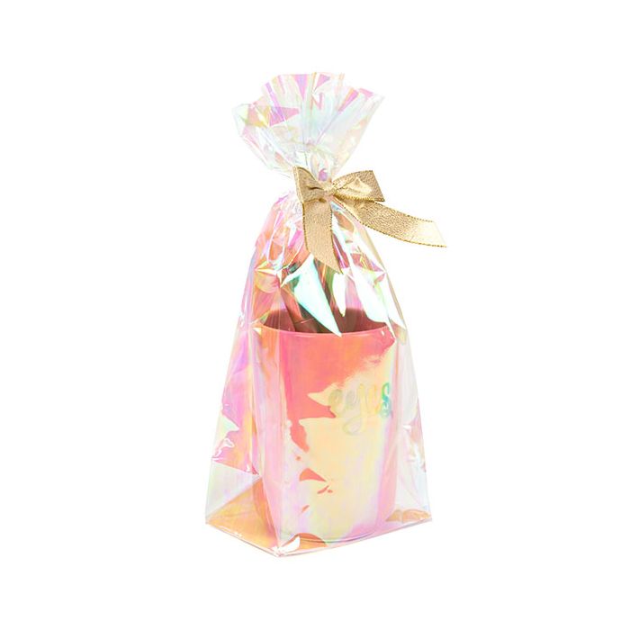 Flachbodenbeutel Irisierend mit Bodenblatt - 60 Mikron 12.7x7.6x30.5cm (50 Stück) [HFGPB1]