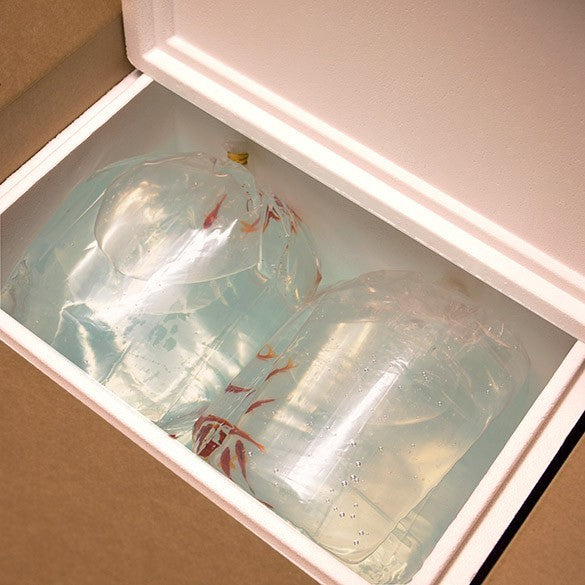 Blockbodenbeutel 40.6x20.3x55.9cm Schwere Qualität (100 Stück) [3GSBW6]