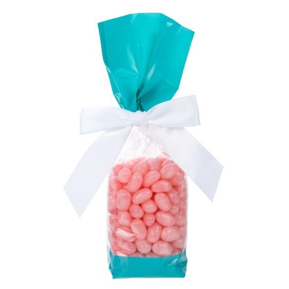 Printed Bags Turquoise 5.1x4.8x24.1cm with side gusset