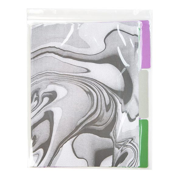 Druckverschlussbeutel 25.5x30.5cm Transparent PP 100 Mikron (100 Stück) [Z4C1012]