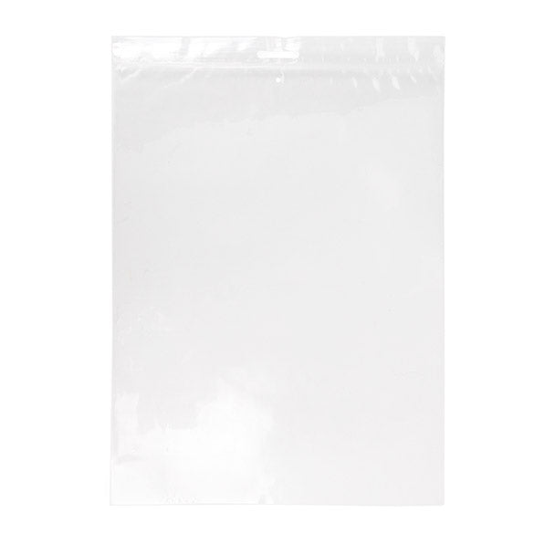 Druckverschlussbeutel mit Euroloch 23x30,5cm Kristallklar PP 50 Mikron mit Luftloch (100 Stück) [ZE912V]
