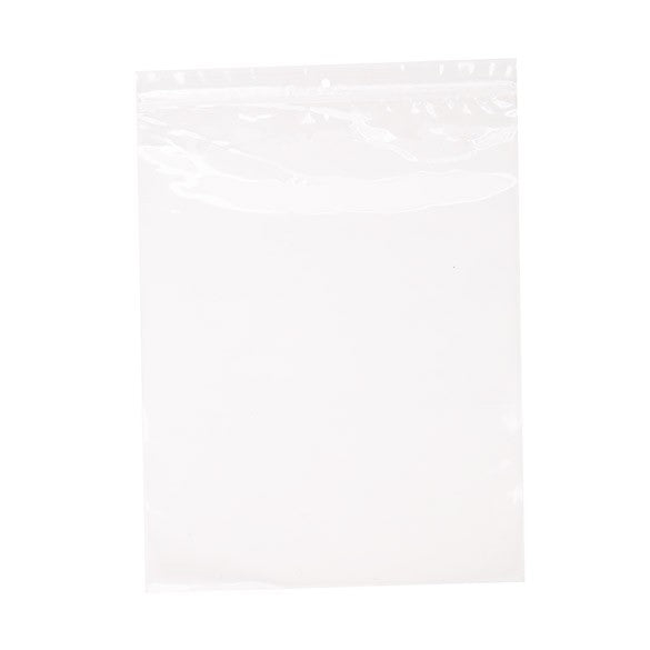Druckverschlussbeutel mit Euroloch 25.5x33cm Transparent PP 50 Mikron (100 Stück) [ZR1013V]