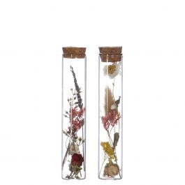 Glasröhrchen mit zwei Trockenblumen Ø3cm (12 Stück) [IFS-29343]