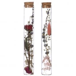 Glasröhrchen mit zwei Trockenblumen Ø3cm (12 Stück) [IFS-29344]