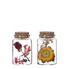 Glasröhrchen mit zwei Trockenblumen Ø4.5cm (12 Stück) [IFS-29345]