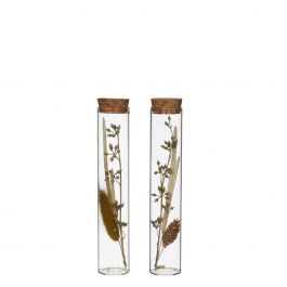 Glasröhre mit Trockenblumen Natur Ø3x15cm (12 Stück) [IFS-30343]
