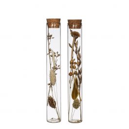 Glasröhre mit Trockenblumen Natur Ø3x20cm (12 Stück) [IFS-30344]
