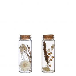 Glasröhre mit Trockenblumen Natur Ø4.5x12.5cm (12 Stück) [IFS-30346]