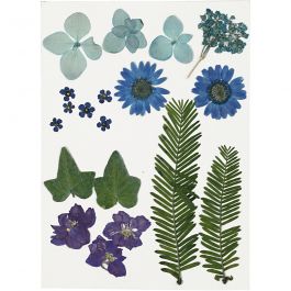 Gepresste Blüten und Blätter, Blau, 1 Pck [HOB-504472]