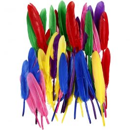 Federn, L 13 cm, Sortierte Farben, 48 Stk/ 1 Pck [HOB-51817]