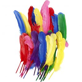 Federn, L 20 cm, Sortierte Farben, 36 Stk/ 1 Pck [HOB-51818]