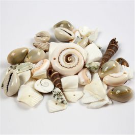 Strandmuschelperlen, Größe 9-40 mm, Lochgröße 1-1,5 mm, 120 g/ 1 Pck [HOB-631881]