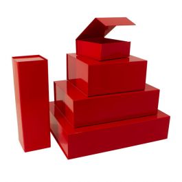 Magnetboxen 42.5x33.3x9.7cm Rot (25 Stück) [FP-VPD062]