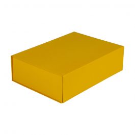 Magnetboxen 35x25x10cm Ockergelb (25 Stück) [FP-VPD132]