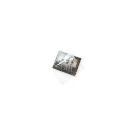 Flachbeutel 31.6 x 41.1cm OPP Transparent (100 Stück) [B12NF]
