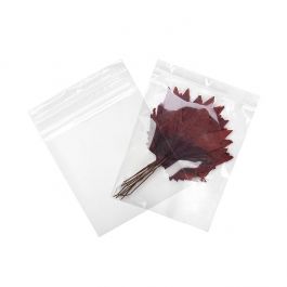 Druckverschlussbeutel mit Aufhängeloch 20.5x25.5cm Transparent PP 75 Mikron (100 Stück) [Z3R810]
