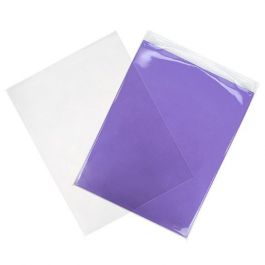 Umweltfreundliche Beutel 22.9x30.5cm Transparent - Heißsiegelfähig (100 Stück) [GC912ENF]