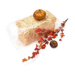 Plastikbeutel 30.5x45.7cm Transparent (PP) (100 Stück) [FP11218]