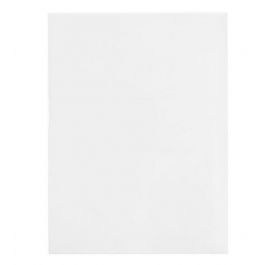 Umweltfreundliche Beutel 13.5x18.5cm Transparent (100 Stück) [GC75NF]