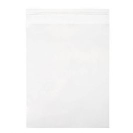 Umweltfreundliche Beutel 13x17.1cm Transparent - Premium (100 Stück) [GC6B2]