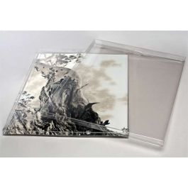 Klarsichtschachteln 28.2x1.6x35.8cm Transparent (25 Stück) [FPB170]