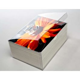 Klarsichtschachteln 18.1x13x7.6cm mit Automatikboden (25 Stück) [FPLB213]