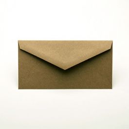 Umschläge Braun 19x9,8cm (50 Stück) [EB70]