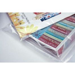Polybeutel 7.6x30.5cm LDPE 40 Mikron (100 Stück) [PE1H312]