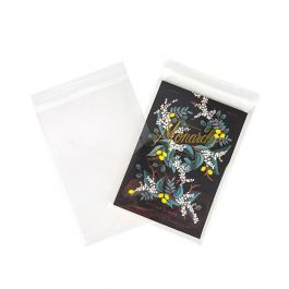 Plastikbeutel 21.3x30.3cm Transparent & Wiederverschließbar (100 Stück) [KO-30159]