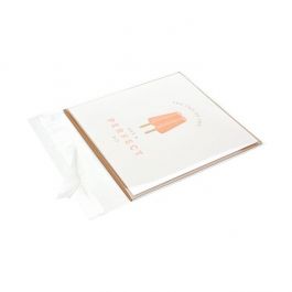 Plastikbeutel 13.5x13cm Transparent & Wiederverschließbar (100 Stück) [KO-30167]
