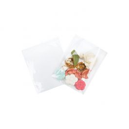 Plastikbeutel 16x15.5cm Transparent & Wiederverschließbar (100 Stück) [KO-30169]