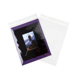 Plastikbeutel 23.4x32.5cm Transparent & Wiederverschließbar (100 Stück) [KO-30174]