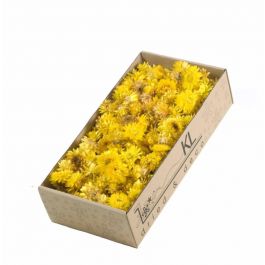 Trockenblumen Helichrysum Koppen 100gr Natürliches Gelb (1 Schachteln) [RU-00217.000.5]