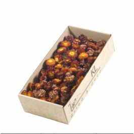 Trockenblumen Helichrysum Koppen 100gr Natürliches Rot (1 Schachteln) [RU-00227.000.5]