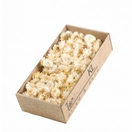Trockenblumen Helichrysum Koppen 100gr Natürliches weiß (1 Schachteln) [RU-00229.000.5]