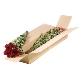 Trockenblumen Roses spray Natürliches Rot (1 Bündel) [RU-01595.000.9]