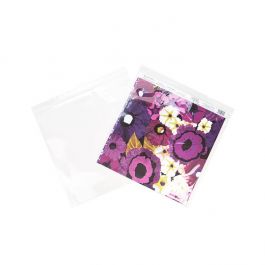 Druckverschlussbeutel mit Euroloch 33x33cm Transparent PP 50 Mikron (100 Stück) [ZC1313V]
